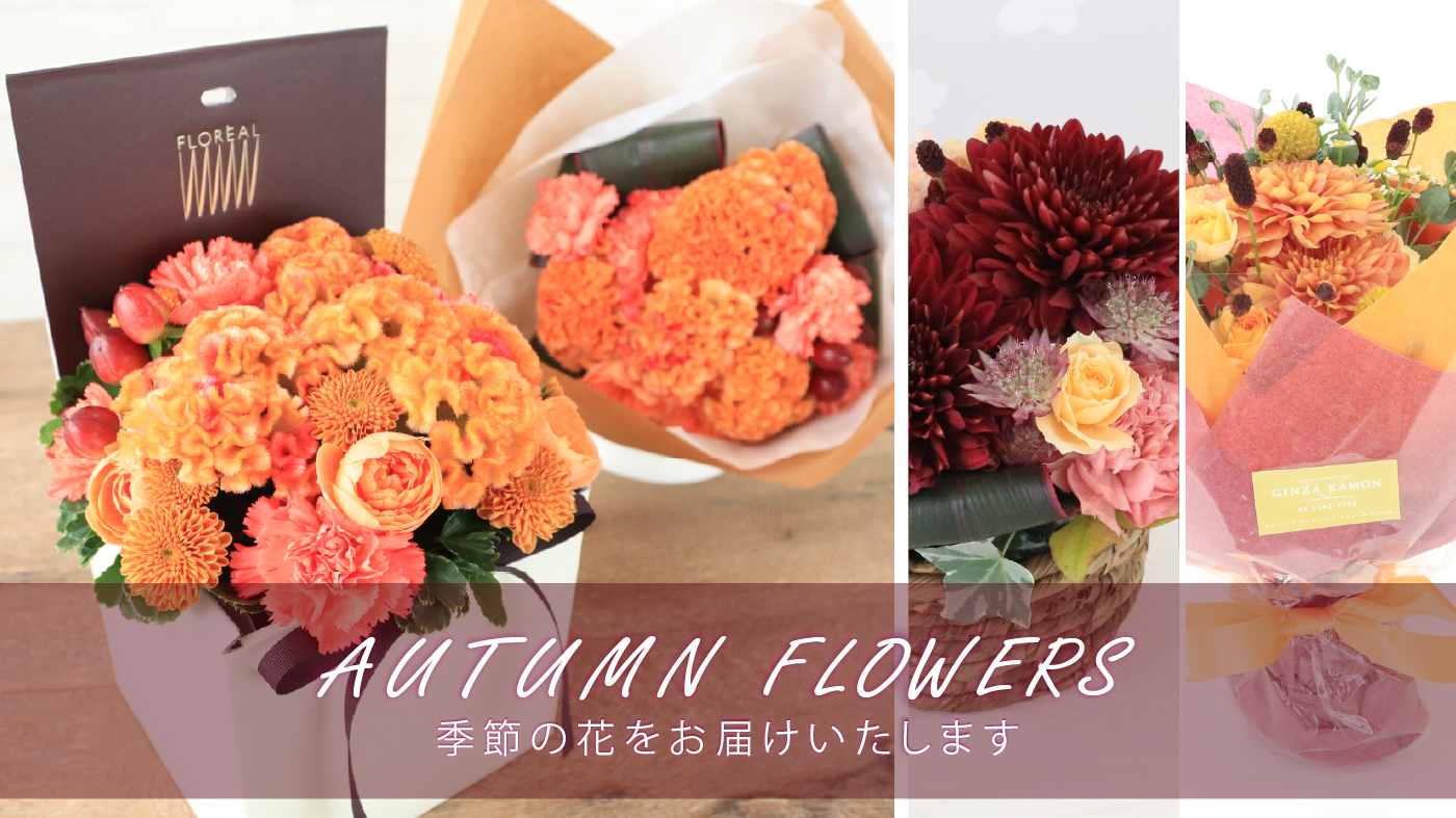 今月の花